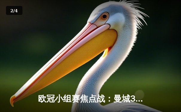 欧冠小组赛焦点战：曼城3-1逆转皇马，哈兰德双响锁定胜局 - 2