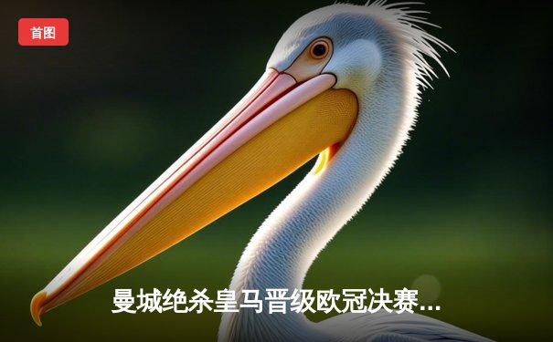 曼城绝杀皇马晋级欧冠决赛，德布劳内传射建功